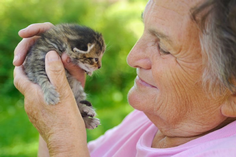 子猫を抱くシニア外人シニア女性