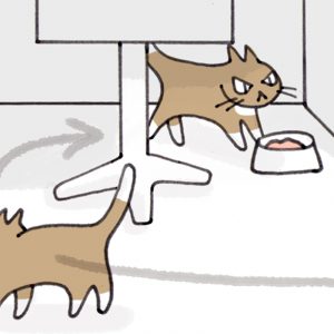 猫が母になつきません　第95話　「るーてぃーん」