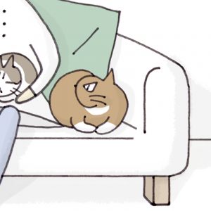 猫が母になつきません　第102話　「ゆずれない」