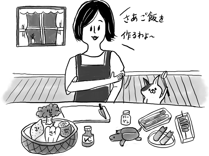 コラーゲンを含む食材をキッチンに並べる女性のイラスト