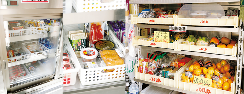 冷蔵庫に入った生鮮食品、野菜、果物がならんでいる写真