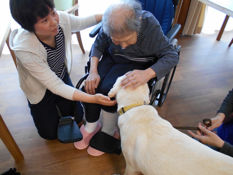 盲導犬と触れ合う高齢者