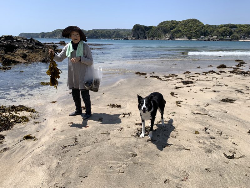 海岸を散歩中の飯田裕子さんの母と愛犬