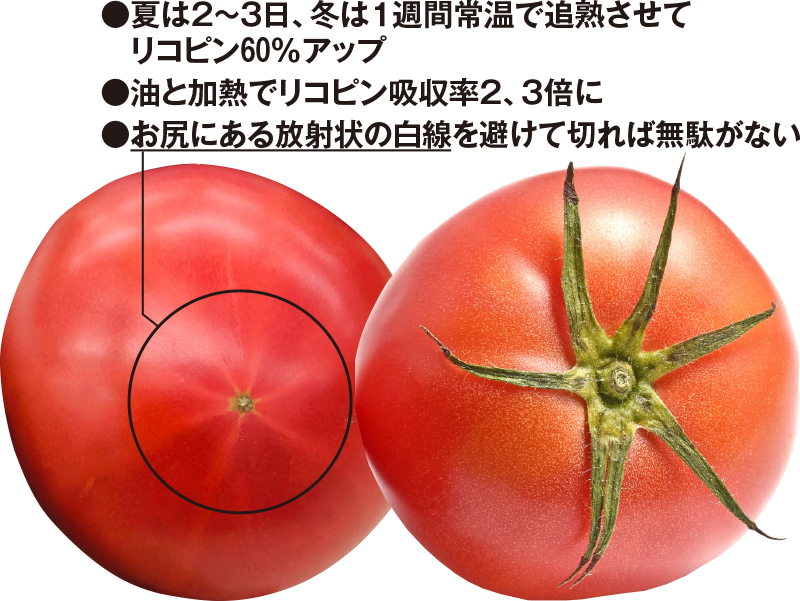 トマトの頭とお尻の画像