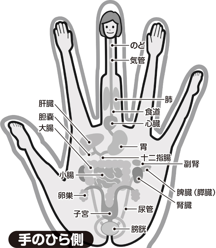 左手の対応図。中指のはらが頭でそれぞれの指や手のひらに内臓などのツボがあるという説明がされてる