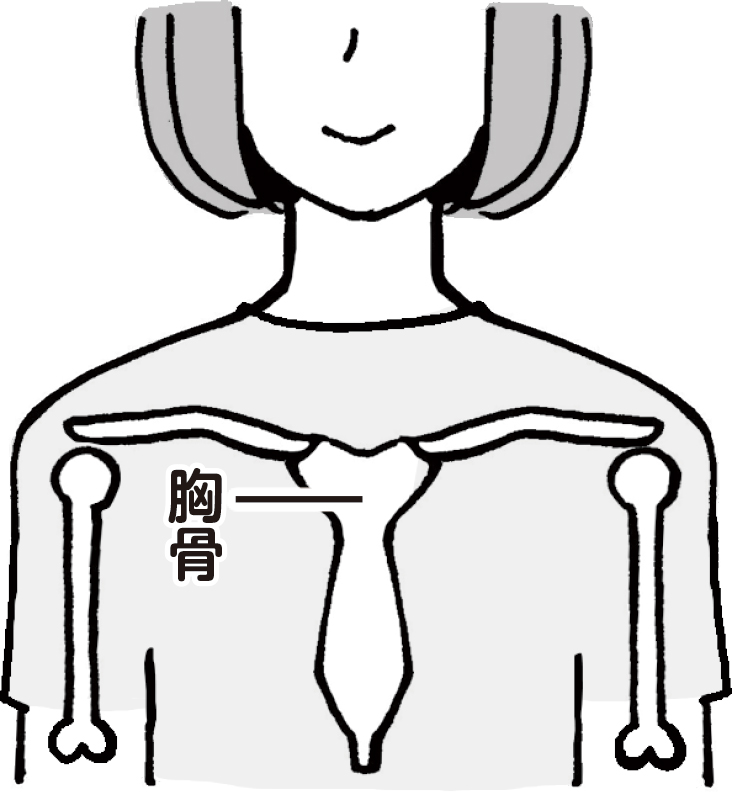 女性の体に胸骨を描いたイラスト