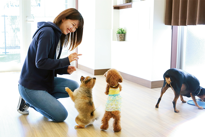犬と遊ぶスタッフの西川真由さん