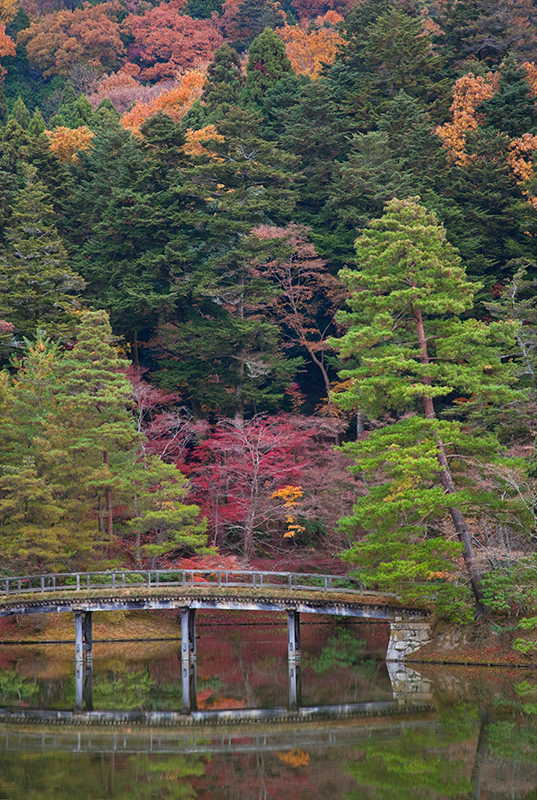京都・修学院離宮の紅葉の様子