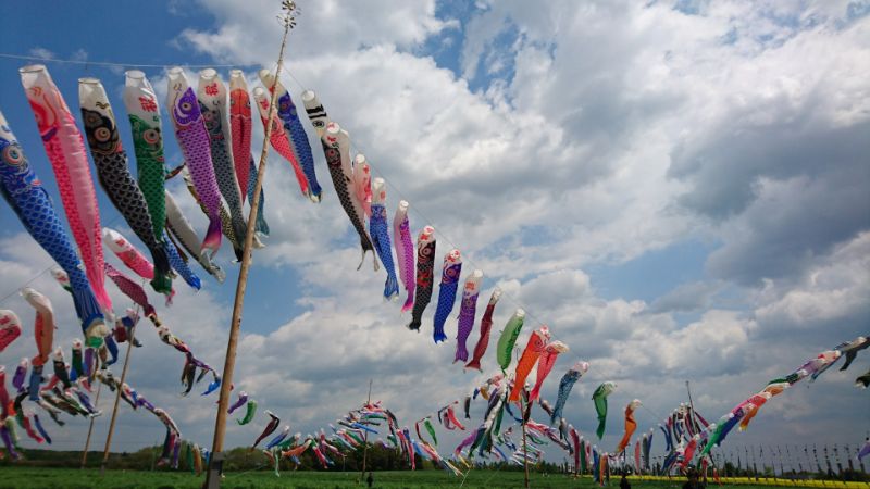 空に泳ぐ雄大な鯉のぼりの写真