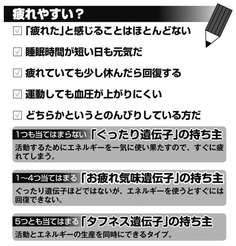 疲れやすさの遺伝子タイプチェックリスト