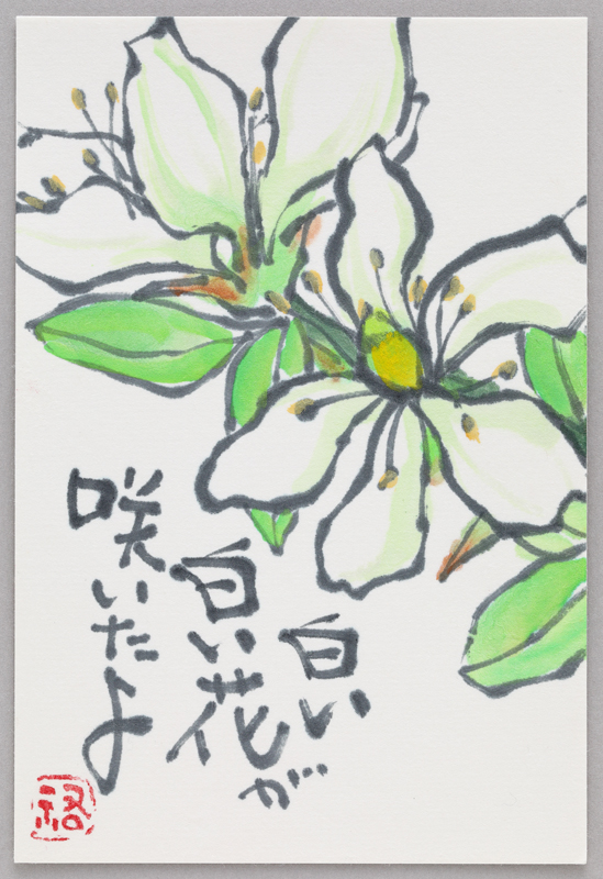植物のモチーフを描いた絵手紙