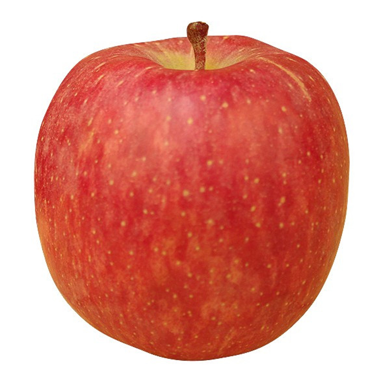 1個のリンゴ