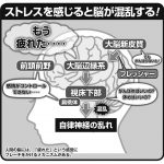 「脳疲労」を放っておくと老化が加速する！飽き、首や肩こりなどのサインに注意