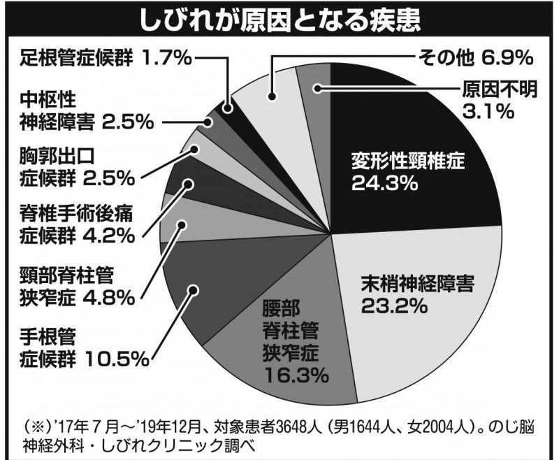 しびれが原因となる主な疾患の内訳グラフ