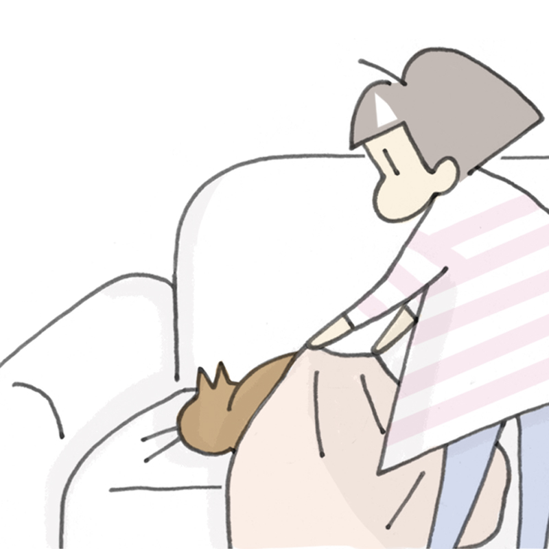 猫が母になつきません　第232話「ちょうどいい」