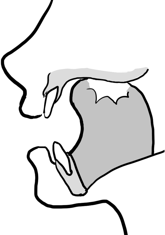 口の中の舌の正常な位置