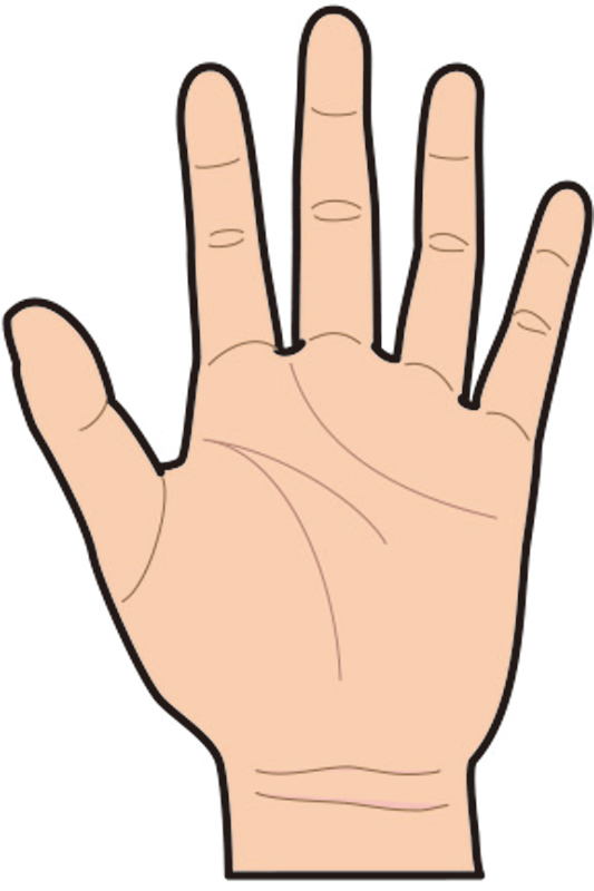 主要三線がほかの手相やしわと区別できないほど薄くて不明瞭なら、手の筋肉不足の兆候。