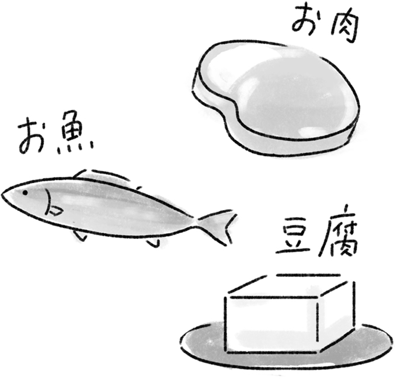 肉、魚、豆腐のイラスト