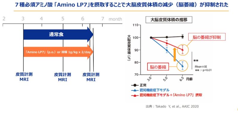 アミノ酸の研究結果