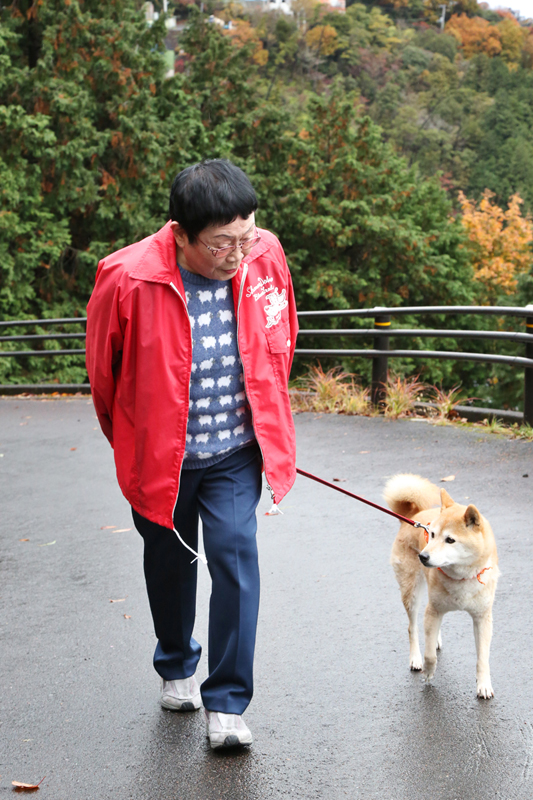犬の散歩をする橋田壽賀子さん