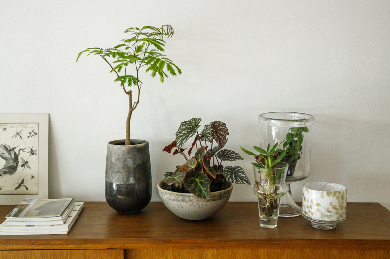 花器、食器、ガラスに植物を植えている
