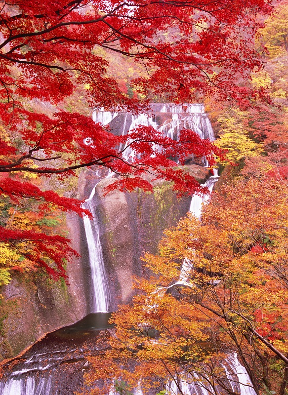 茨城県にある袋田の滝と紅葉