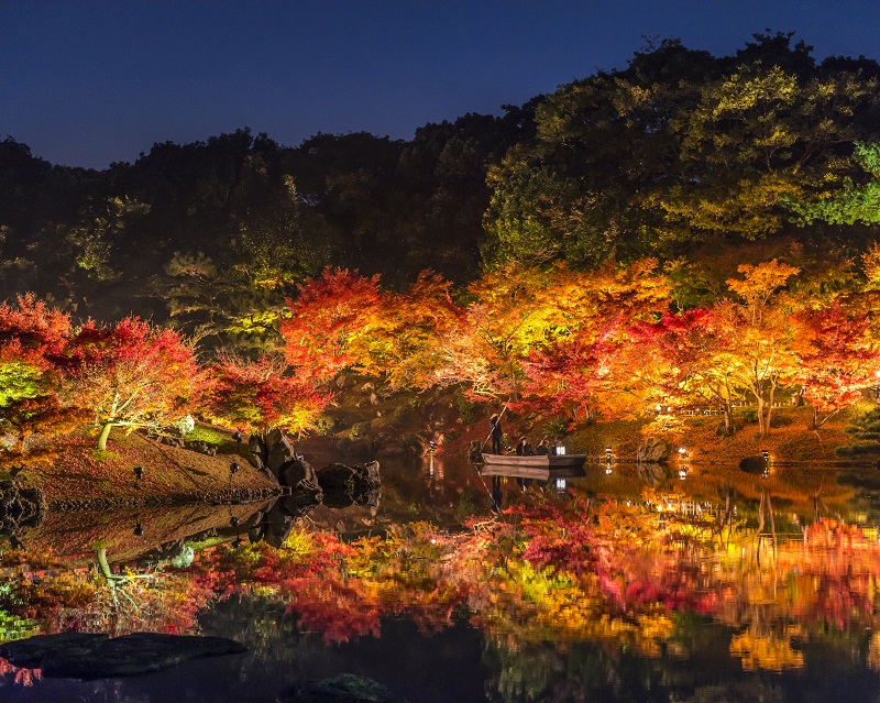 夜の香川県・栗林公園と紅葉
