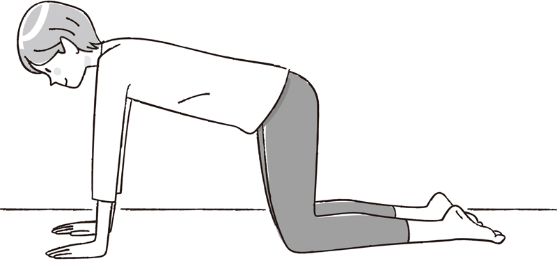 両手は肩幅、両ひざは腰幅に開いて床につけ、足の甲は伸ばす女性のイラスト