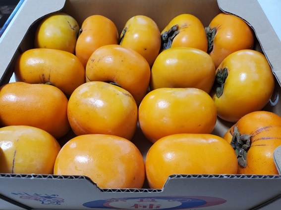 工藤家で箱買いしている柿