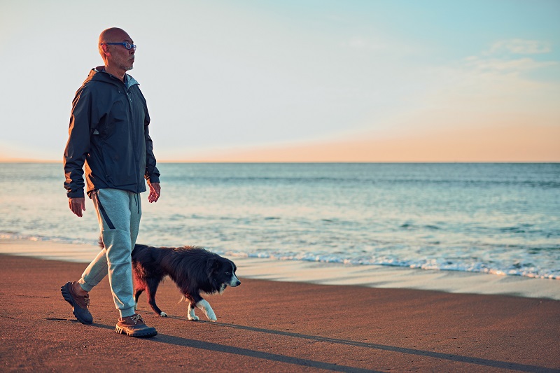 夕方海辺で散歩する男性と犬