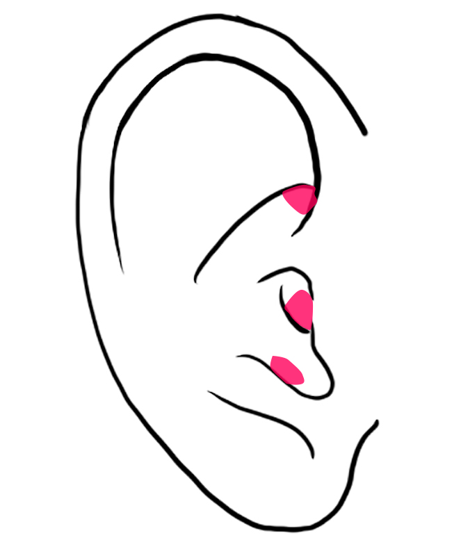 耳たぶの縁と上部内側が赤いタイプ