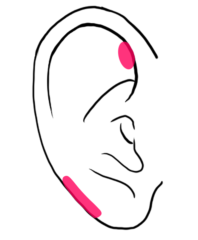耳たぶの縁と上部内側が赤いタイプ
