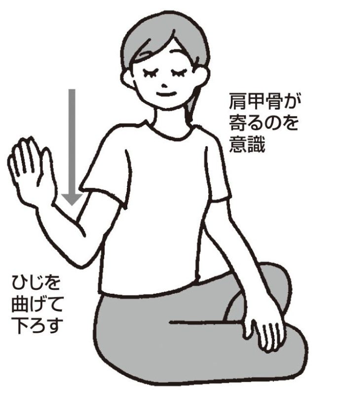 右手で弧を描くようにしてひじを曲げ、右側の肩甲骨が寄るのを意識して体の横まで下ろす