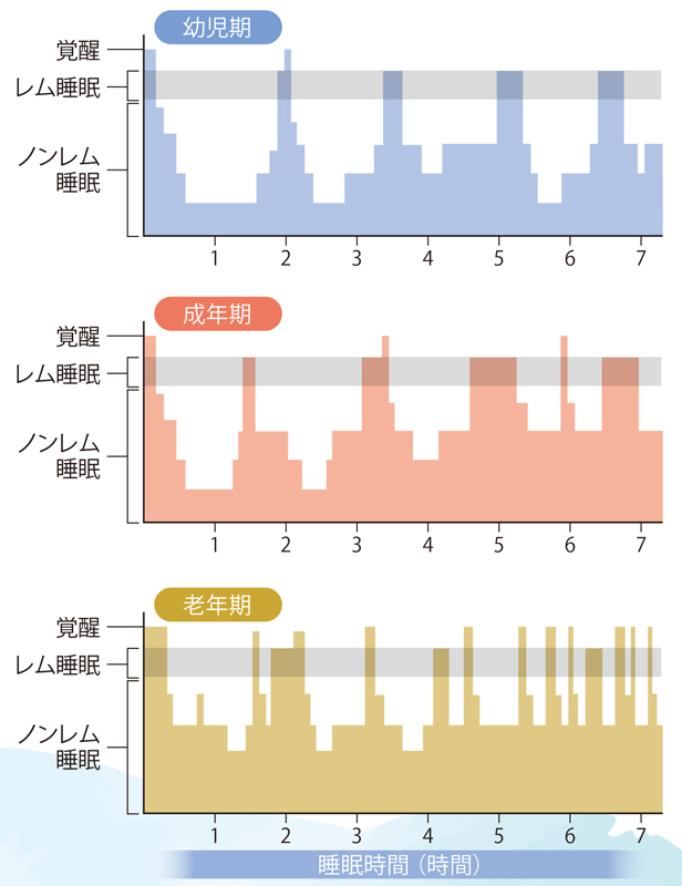 「幼児期」「成年期」「老年期」別睡眠のサイクル（Kales A et J.D,1974から作成）