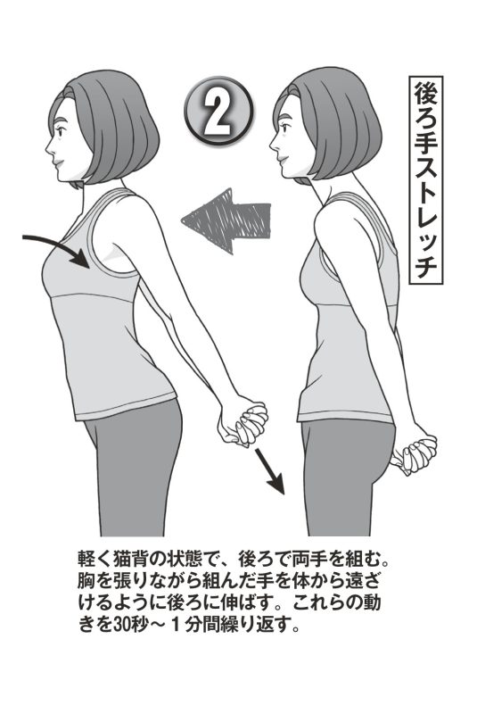 後ろで手を組み、胸を張って組んだ腕を体から遠ざけ伸ばす女性のイラスト