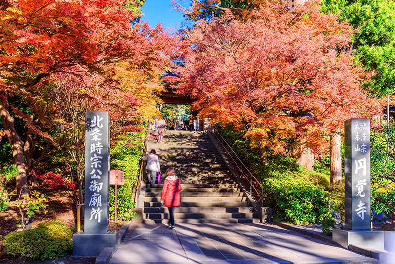 神奈川県『円覚寺』