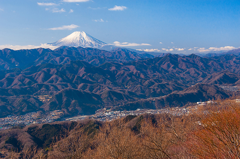 陣馬山