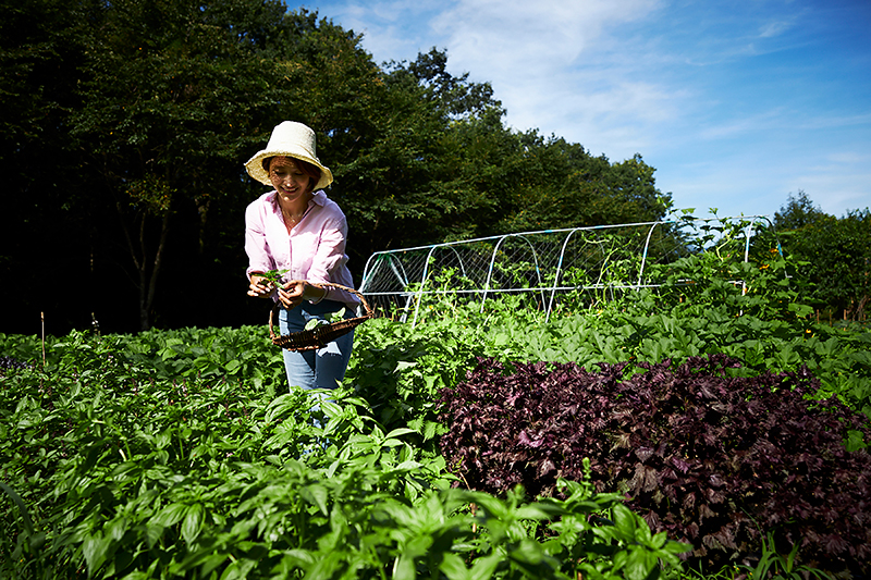 日本初のアグリツーリズモリゾート『リゾナーレ那須』では、通年、敷地内の畑で野菜やハーブの種まきや収穫などが体験できる（無料）