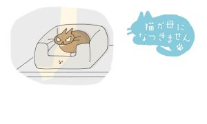 猫が母になつきません　今週は休載