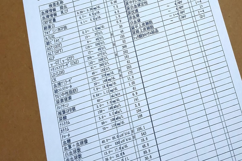 健康診断の結果表イメージ