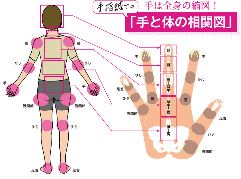 「手と体の相関図」