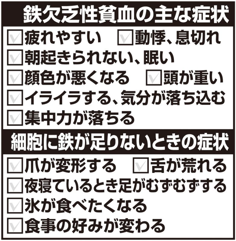 鉄欠乏性貧血の主な症状と細胞に鉄が足りないときの症状リスト