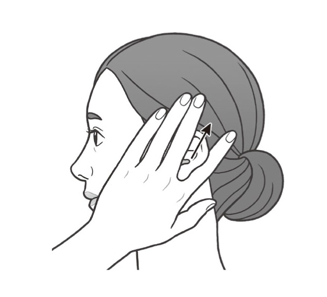 指と指で耳をはさみ上下に動かす