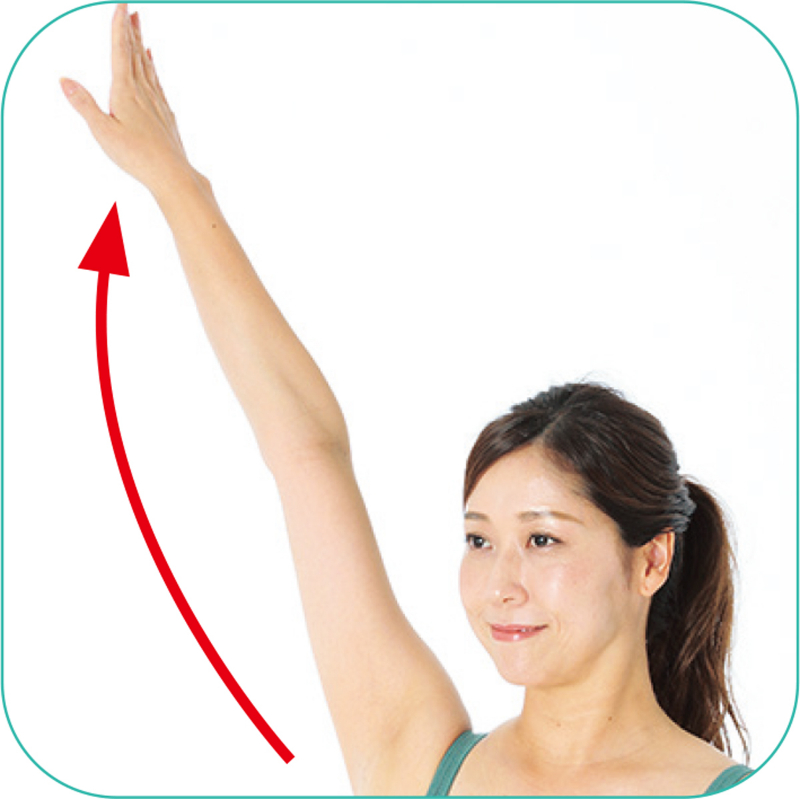 手の甲を内側にして真横から上へ肘を伸ばして腕を上げる