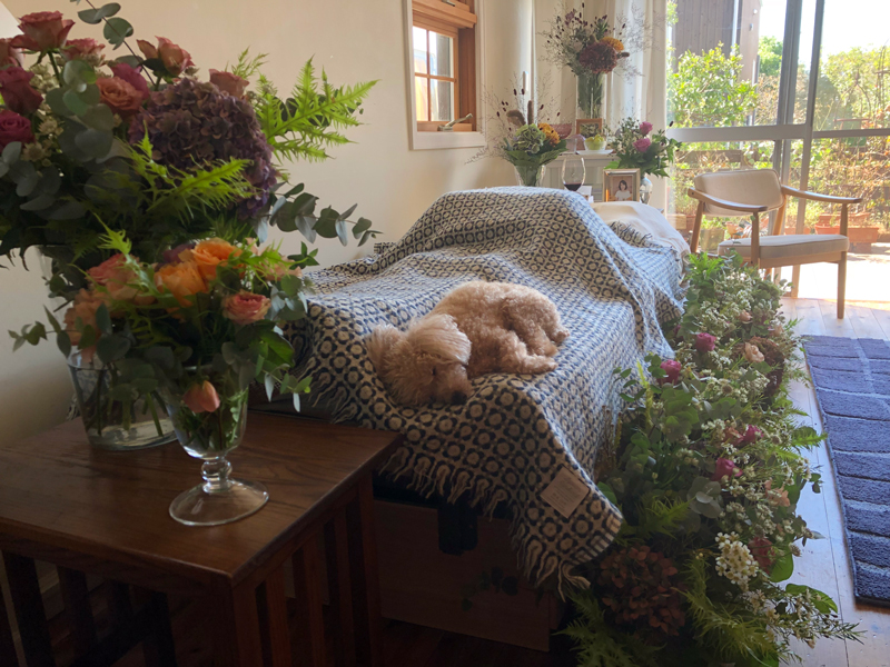花で飾られたベッドに安置された故人にペットの犬が寄り添っている。（写真／鎌倉自宅葬儀社提供）