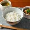 ごはん
