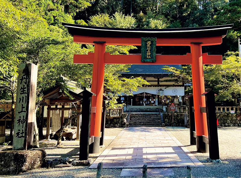 日本最古の龍神が祀られている丹生川上神社