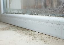 梅雨の湿気が招く危険なカビ（真菌）の種類とすぐ病院にかかりたいカビ起因の病気「長引く咳はカビが原因かも」