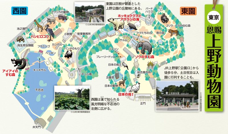 恩賜上野動物園の地図