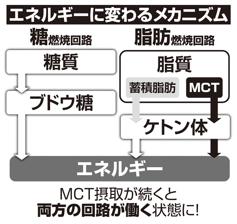 エネルギーに変わるメカニズム